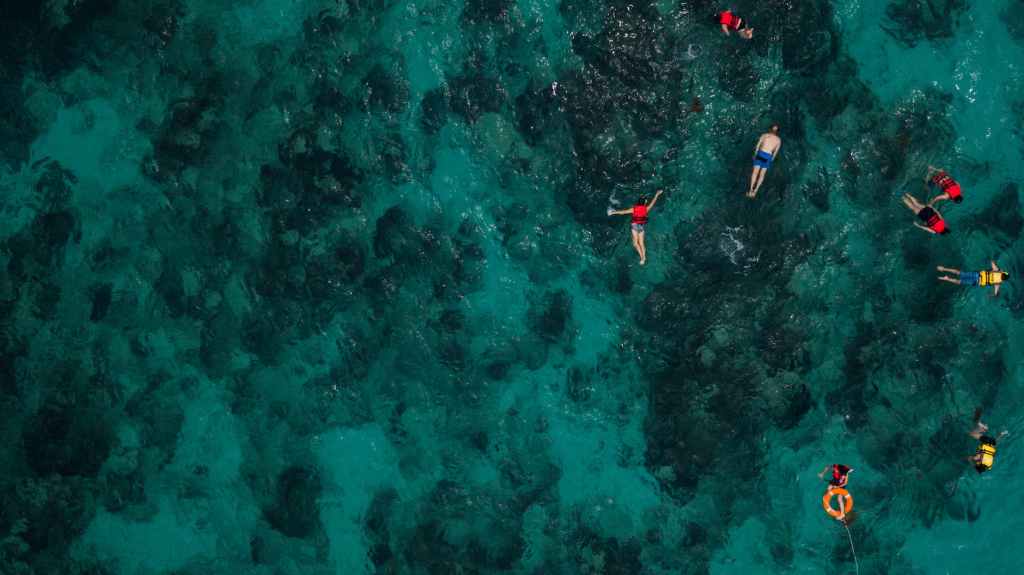 Reefs in ruin: The fading beauty of the Great Barrier Reef