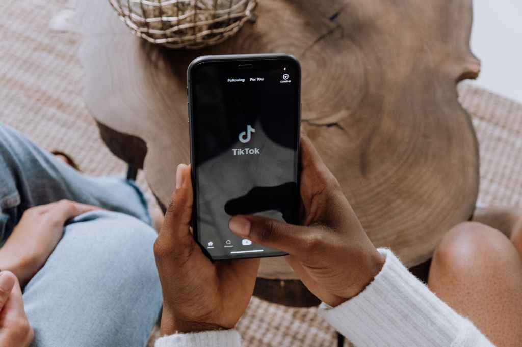 Elevating awareness: Addressing privacy concerns within the TikTok app